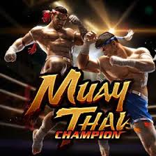 Muay Thai Champion