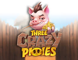 Three Crazy Piggies