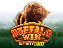 Buffalo Win