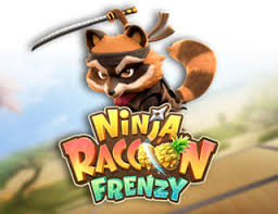 Ninja Raccoon Frenzy